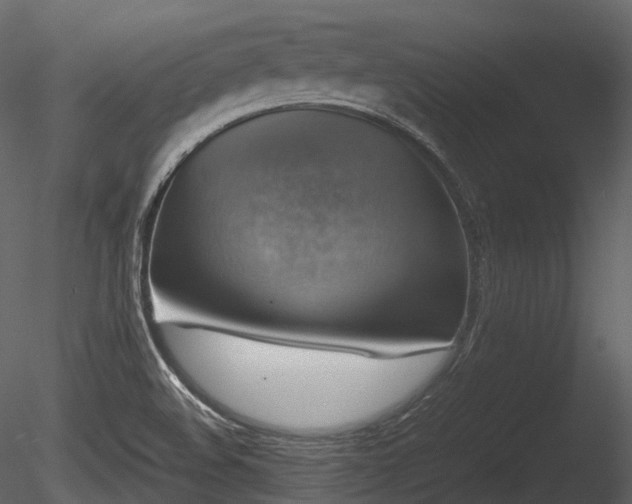 X0000085251508200703161238