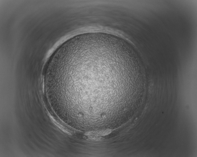 X0000085251509200703161238