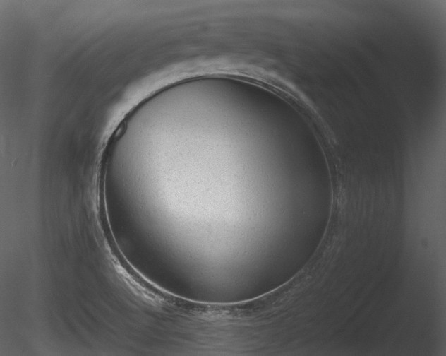 X0000085251512200703161238