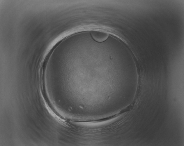 X0000085251515200703161238