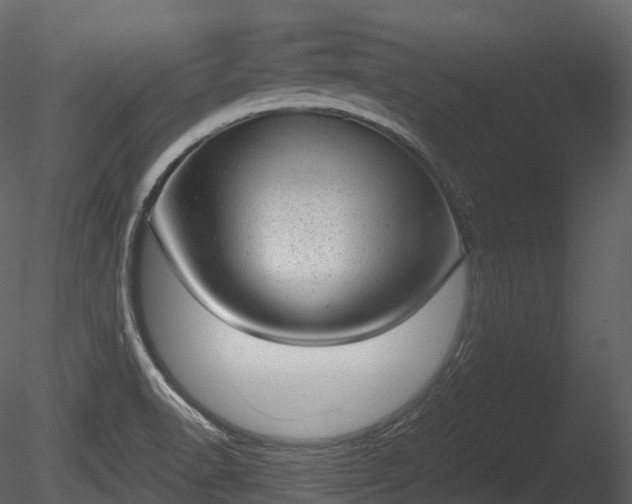 X0000085251518200703161238