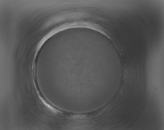 X0000085251519200703161238