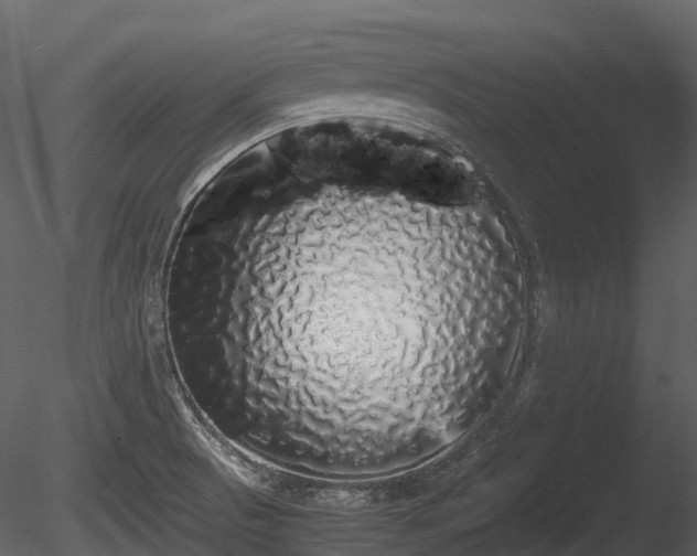 X0000085251521200703161238