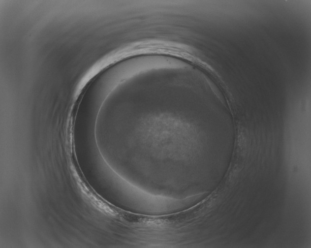 X0000085251522200703161238