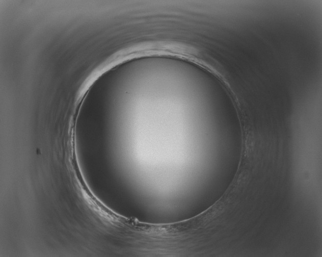 X0000085251524200703161238