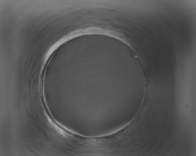 X0000085251527200703161239