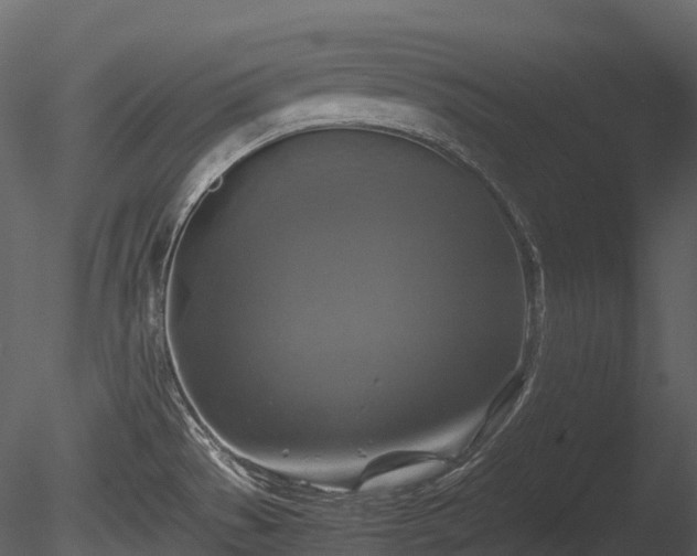 X0000085251529200703161239