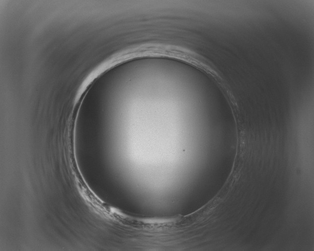 X0000085251530200703161239