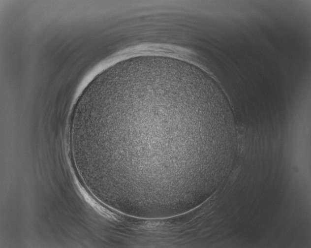 X0000085251531200703161239