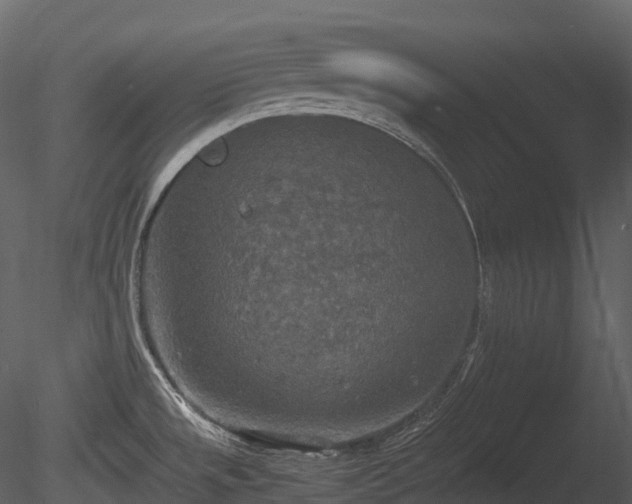 X0000085251533200703161239