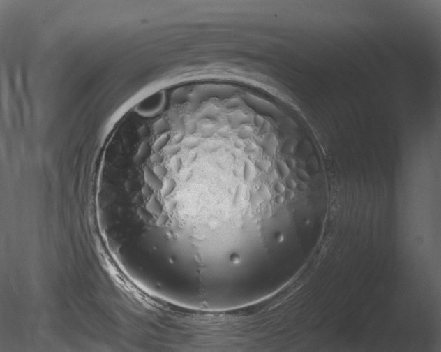 X0000085251534200703161239