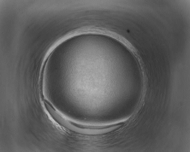 X0000085251536200703161239