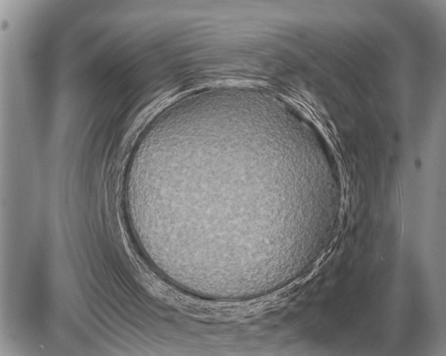 X0000085250001200703231702