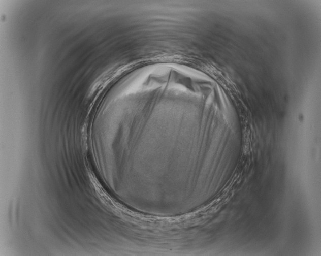 X0000085250002200703231702