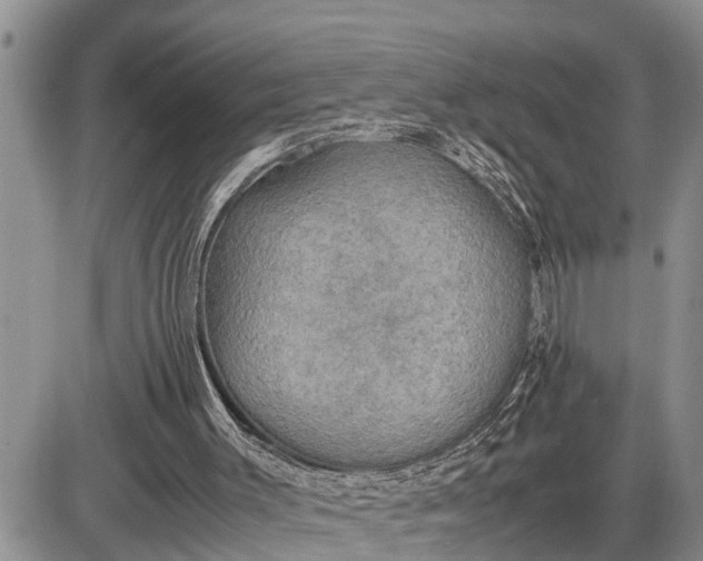 X0000085250003200703231702