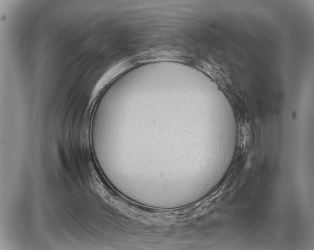 X0000085250004200703231701