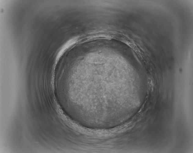 X0000085250006200703231701