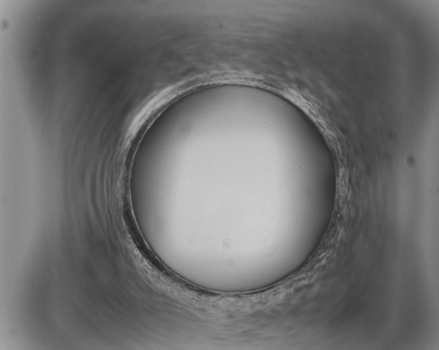 X0000085250007200703231701