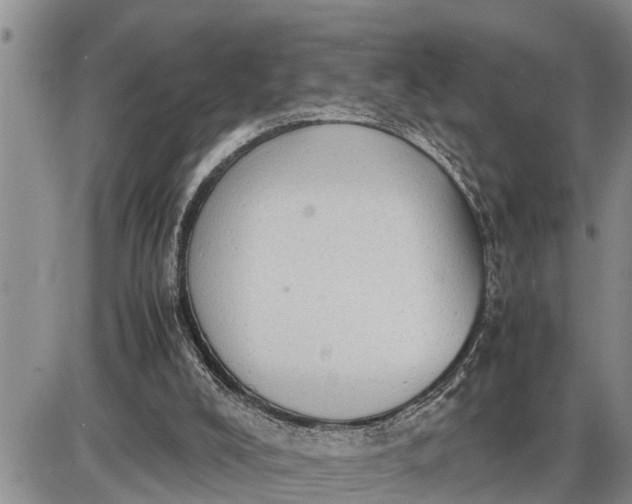 X0000085250008200703231701