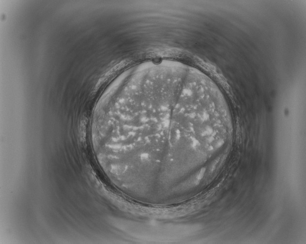 X0000085250010200703231701