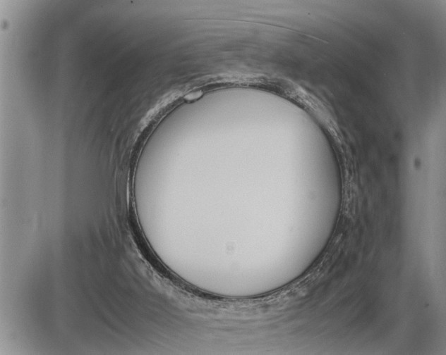 X0000085250011200703231701