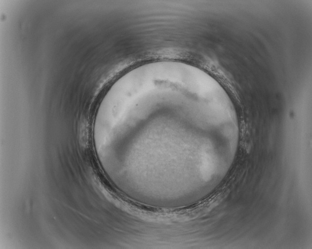 X0000085250012200703231701