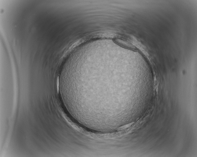 X0000085250013200703231701