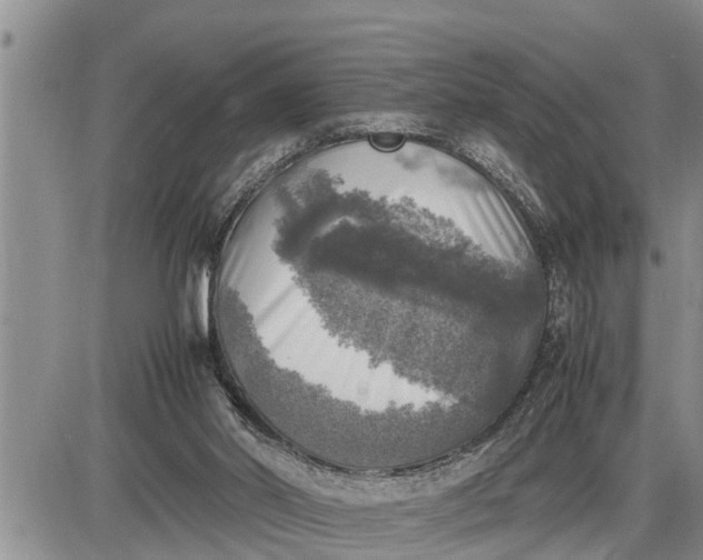 X0000085250014200703231701