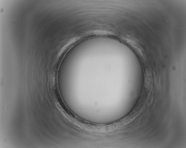 X0000085250015200703231701