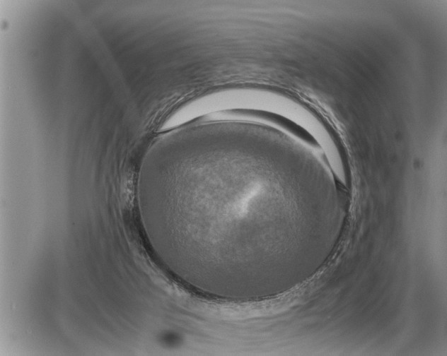 X0000085250017200703231701