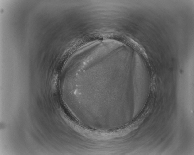 X0000085250018200703231701