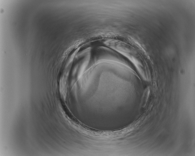 X0000085250019200703231701