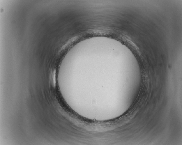 X0000085250020200703231701