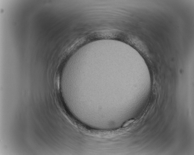 X0000085250021200703231701