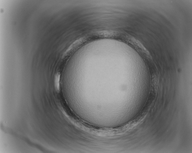 X0000085250024200703231701