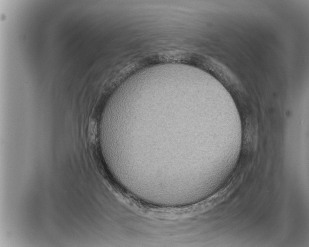 X0000085250025200703231701