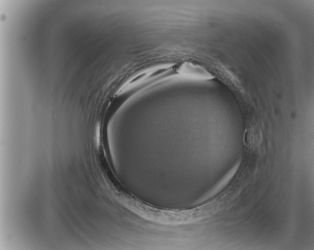 X0000085250027200703231701