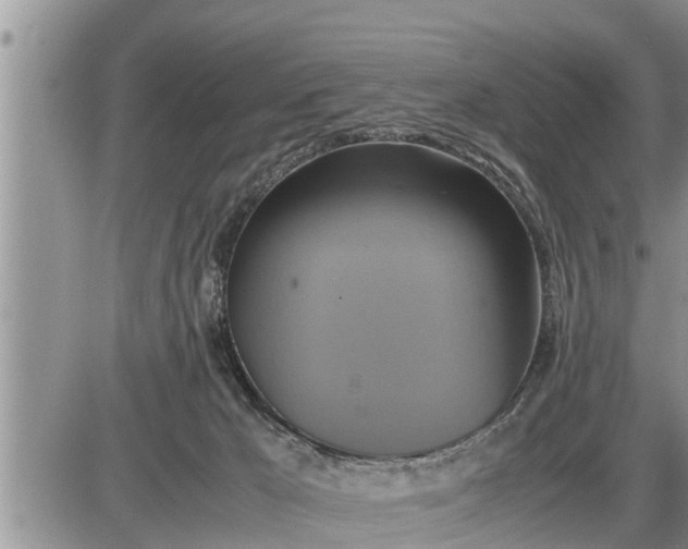 X0000085250029200703231701