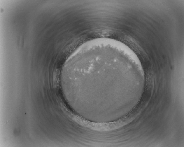 X0000085250030200703231701