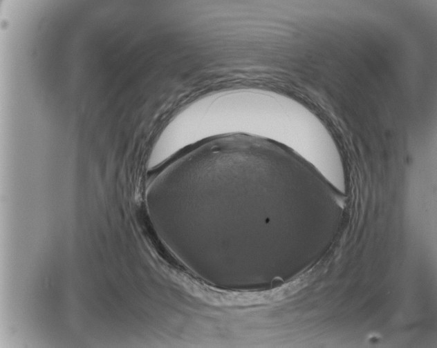 X0000085250031200703231701