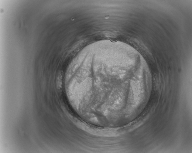 X0000085250032200703231701