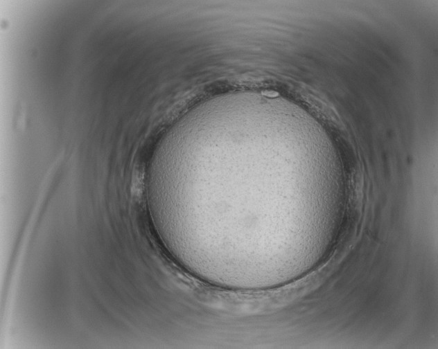 X0000085250033200703231701