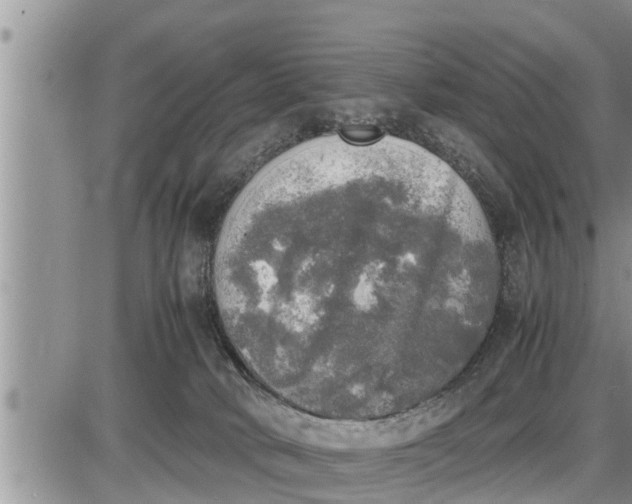 X0000085250034200703231701