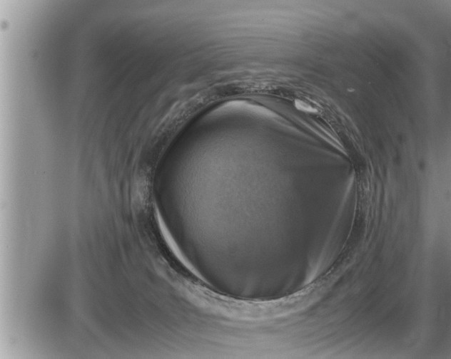 X0000085250035200703231701