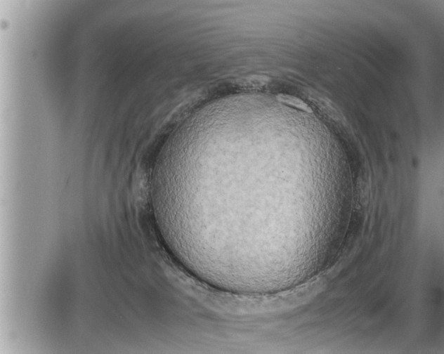 X0000085250037200703231701