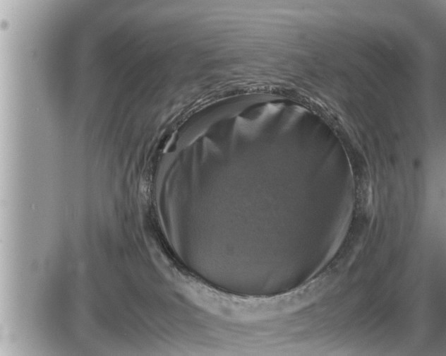 X0000085250039200703231701