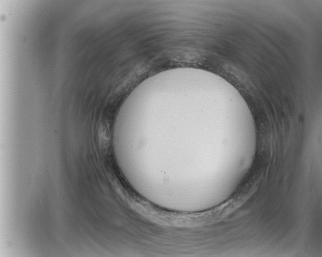 X0000085250040200703231701