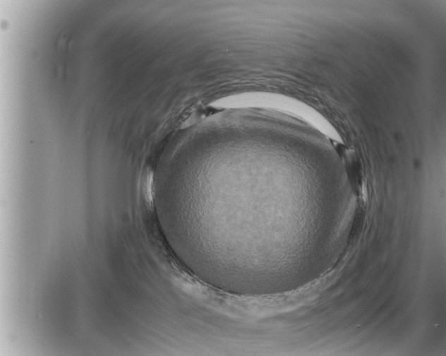 X0000085250041200703231701