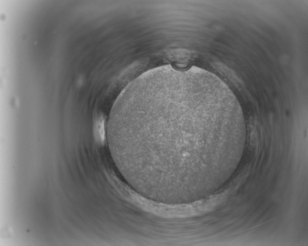 X0000085250042200703231701