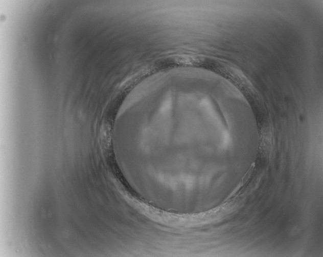 X0000085250043200703231701